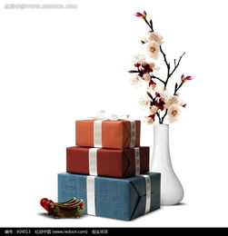 梅花礼品psd素材免费下载 编号604513 红动网
