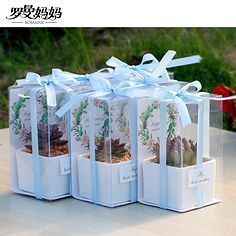 伴手礼 馈赠的艺术与心意